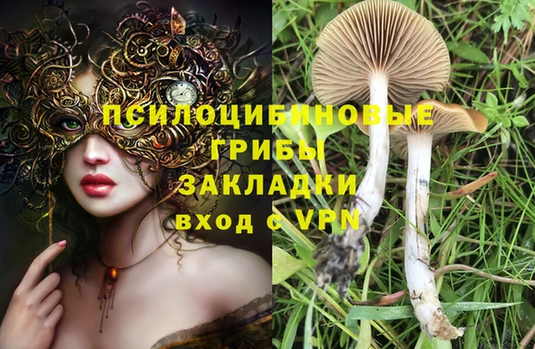 мескалин Кукмор
