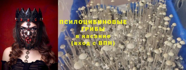 мдпв Абаза